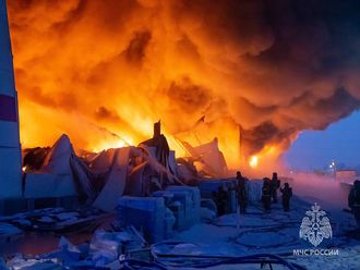 रूस की ई-कॉमर्स दिग्गज वाइल्डबेर्रीज